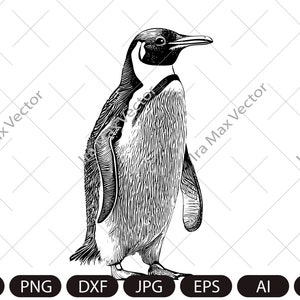 Penguin Svg, King Penguin SVG, Sea Animal SVG, Penguin Silhouette, Penguin  Clipart, Penguin  SIlhouette, Penguin  detailed