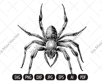 Spider SVG, Spider Design Svg, Подробный паук, Spider Dxf, Spider Png, Spider Clipart, Spider Files