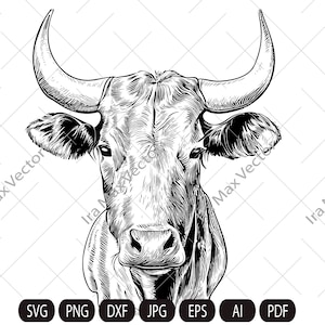 COW SVG, COW clipart, Cow head svg, Farm Life svg, Heifer Svg,Cow Vector Animal,cow head Illustration,cow face svg, Print on Demand,Wall Art