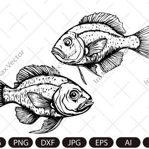SVG de peixe / SVG de peixe fofo / silhueta de peixe / vetor de peixe / arquivo de corte de peixe / arquivos SVG