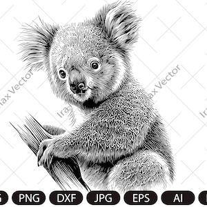 May include: A black and white line art illustration of a koala bear sitting on a tree branch. The koala is looking to the left of the image.