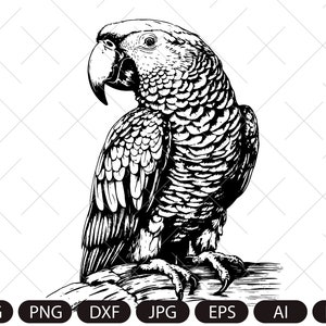 May include: Black and white line art illustration of a parrot perched on a branch. The parrot is facing to the left and has a detailed, textured appearance.