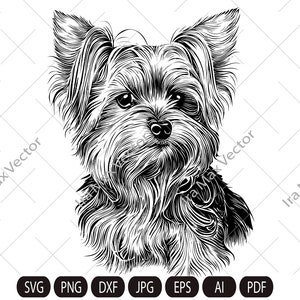 Yorkshire Dog svg, Yorkshire Terrier SVG, Yorkie face clipart, Dog svg ,Yorkshire Terrier Vector, Yorkshire Terrier Print Shirt,york