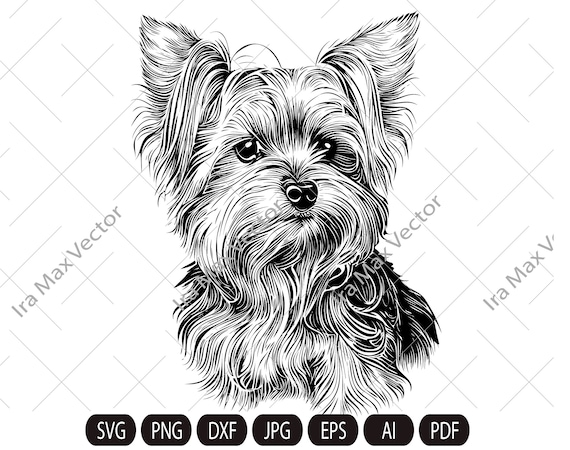 Yorkshire Dog svg, Yorkshire Terrier SVG, Yorkie face clipart, Dog svg ,Yorkshire Terrier Vector, Yorkshire Terrier Print Shirt,york