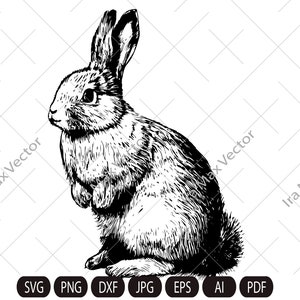 Rabbit SVG, Bunny monogram,Hare svg, easter , hunter svg, peeking animal clipart, face Vector image, Head Printable art, png, dxf