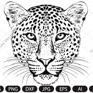 Leopard SVG, Leopard Face SVG, Leopard hoofd SVG, Leopard clipart, Leopard silhouet, Leopard portret