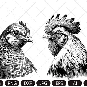 Cabeça de galinha e galo, retrato de galinha e galo, Aves svg, Clipart de galinha svg