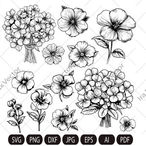 Violet SVG,Violet flowers svg,Violet  bouquet, Spring Flower Vector Drawings, Botanical Blossoms ,  Floral Line Art,Commercial Use PNG, SVG