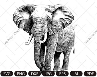 Elephant Svg, Elephant Clipart, Elephant Png, Elephant Head, Elephant detailed , Elephant Silhouette, Animals Silhouette