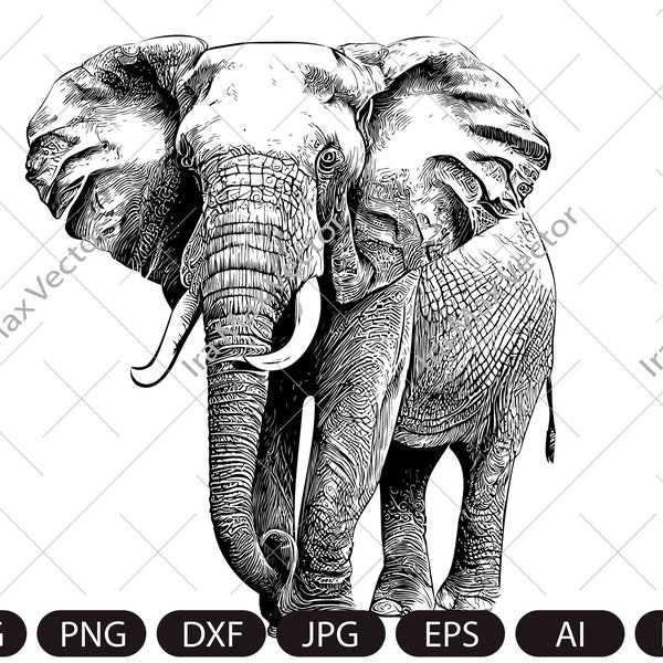 Elephant Svg, Elephant Clipart, Elephant Png, Elephant Head, Elephant detailed , Elephant Silhouette, Animals Silhouette