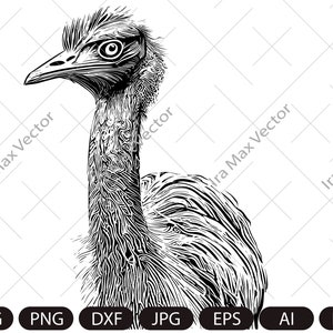 Ostrich Peeking SVG, Ostrich Silhouette dxf, SVG, Farm life clipart, iron on, laser cut, vinyl shirt design, Vector OSTRICH, Digital image,