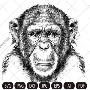 MONKEY Face svg / Monkey Head svg / Monkey svg / Monkey King svg / Monkey Mascot svg /Monkey detailed/ Monkey Printable / INSTANT DOWNLOAD