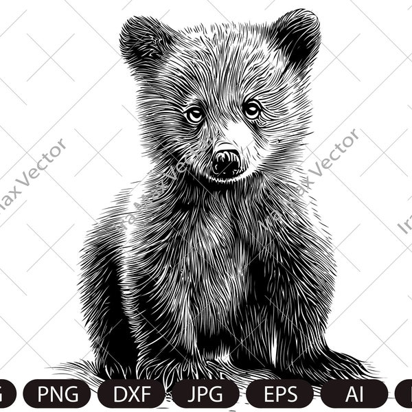 Baby bear svg,Bear cub face svg,Little bear,Grizzly Bear,Bear detailed, Safari African Animals,Bear Cub,Nursery Wall Art, Kids Printable