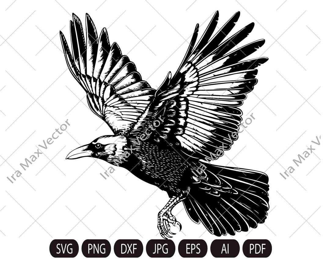 Raven Svg, Raven Silhouette Dxf, Raven Clipart, Crow Svg, Bird Svg ...