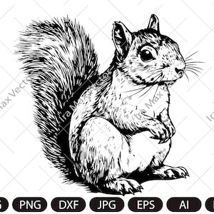 Écureuil SVG, chemise écureuil, écureuil png, vecteur écureuil, écureuil, poster écureuil, écureuil téléchargement