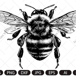 BumbleBee svg ,honey bee , bumble bee svg png jpg ,BumbleBee clip art ,BumbleBee Silhouette ,BumbleBee printable, bee sublimation