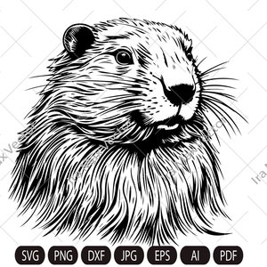 Happy Beaver Svg, Cute Beaver svg, Beaver svg, Smiling Beaver svg, Beaver Shirt, Beaver Clipart, Cut Files, Beaver face svg, Beaver head svg
