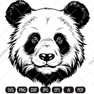 Panda Svg, Panda Clipart, Panda Png, Cabeza de Panda, Cara de Panda svg, Silueta de Panda, Silueta de Animales