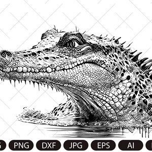 Crocodile Svg, Crocodile Png, Crocodile Head, Crocodile Face, Crocodile Details, Crocodile Silhouette, Animals