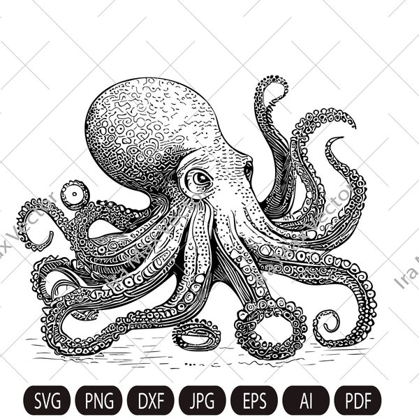 Octopus SVG, kragen svg, Octopus printable,  Octopus detailed, Octopus clipart, Octopus cartoon, Octopus vector