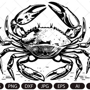 Krab SVG, Królewski Krab SVG, Zwierzę morskie SVG, Sylwetka kraba, Clipart kraba, Nogi kraba SVG, Sylwetka kraba, Szczegółowy krab