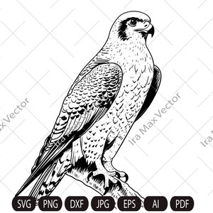 Puede incluir: Ilustración detallada en blanco y negro de un halcón posado en una rama. El ave rapaz se representa de perfil, mostrando su afilado pico y patrones de plumas detallados. Incluye iconos de formatos de archivo: SVG, PNG, DXF, JPG, EPS, AI y PDF.