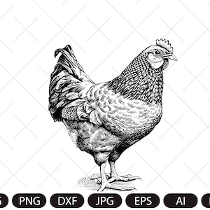 Farm Hen SVG. Hen vector. Bird chicken, farm animal vintage sketch drawing clipart. Digital illustration
