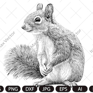 Fichier SVG, Fichier vectoriel, Fichier png, Fichier vectoriel, Fichier numérique, Fichier vectoriel