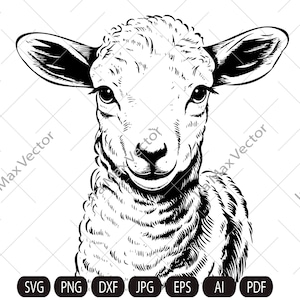 Lamb Svg, Lamb head svg, Lamb face ,Sheep svg,  Cute Farm Animal, Livestock,farm life, Lamb Clipart, Lamb Vector, Lamb  printable, Lambs svg