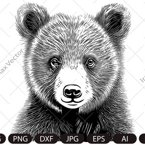 Svg bébé ours, visage d'ourson, petit ours, décoration de chambre d'enfant, animaux d'Afrique Safari, ourson, art mural pour chambre d'enfant, art imprimable pour enfants