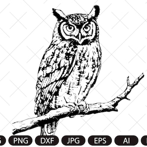 Owl Svg, Owl Clipart, Owl Png, Owl Head, Owl Cut Files , Owl Silhouette, Bird Silhouette