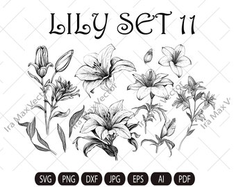 Flor de lirio SVG, paquete de lirios SVG, conjunto de lirios SVG, lirio dibujado a mano SVG, ramo de flores SVG, SVG floral, boda de flores, archivos SVG de flores