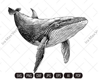 Whale Svg, Whale clipart, whale detailed , whale silhouette, whale png, humpback whale, Printable Whale Svg, ocean svg, fish svg, blue whale