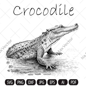 Krokodil SVG, Krokodil im Fluss, Krokodil Clipart, Krokodil im Fluss, Krokodil Schnittdateien, Krokodil geschnitten Datei, Krokodil Kopf svg