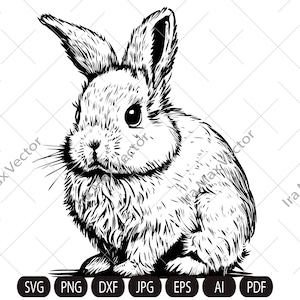 Rabbit SVG, Bunny monogram, easter , hunter svg,rabbit cut file, peeking animal clipart, face Vector image, Head Printable art, png, dxf