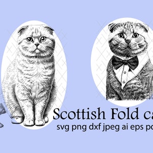 Scottish Fold Cat Instant Digital Downloadable File for Silhouette,Clipart,Vector,Cricut.In Svg,Dxf,Png,Jpg,Ai,Eps Format