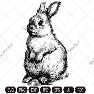 Rabbit SVG, Bunny standing, easter , hunter svg,rabbit cut file, peeking animal clipart, face Vector image, Bunny Printable art, Bunny Retro