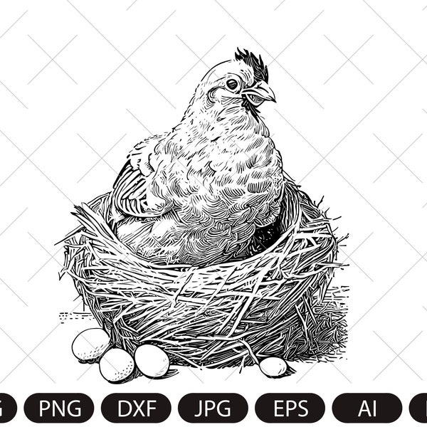 Farm Hen and Eggs vector. Laying Hen in nest SVG. Bird chicken vintage sketch drawing clipart. Digital illustration