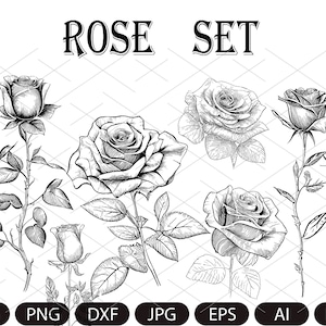 ROSE SVG Bundle, ROSES Svg Bundle, Rose Clipart Bundle, Rose Svg cut files , Flowers Svg