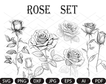 ROSE SVG Bundle, ROSES Svg Bundle, Rose Clipart Bundle, Rose Svg cut files , Flowers Svg