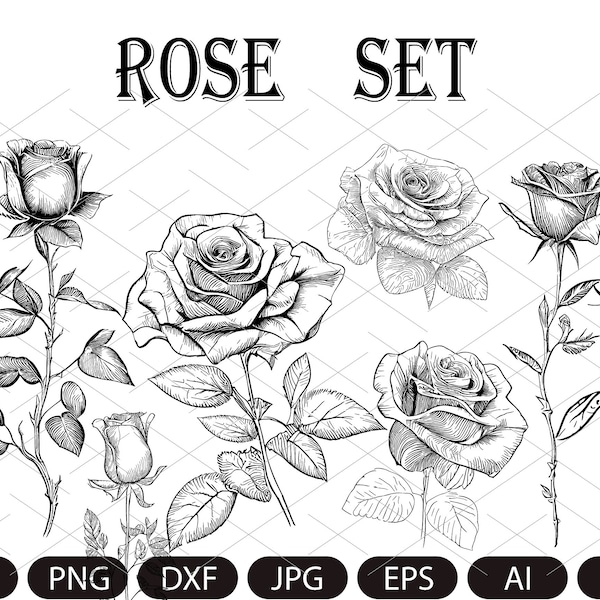 ROSE SVG Bundle, ROSES Svg Bundle, Rose Clipart Bundle, Rose Svg cut files , Flowers Svg