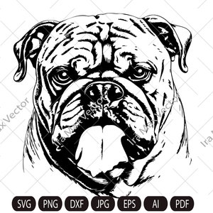BULLDOG svg, Bulldog head, BULLDOG face svg, BULLDOG Clipart, Bulldog Svg ,Files , Bulldog Silhouette , Dog svg