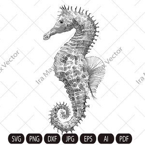 Seahorse Svg, Seahorse Clipart, Sea Dragon Svg, Ocean Fish Svg, Reef fish, Seahorse Vector,Sea horse Cut file, Ocean Life Clipart,Sea horses