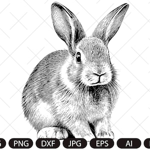 May include: A black and white line drawing of a rabbit with large ears. The rabbit is sitting with its front paws tucked under its body and its head tilted slightly to the side.