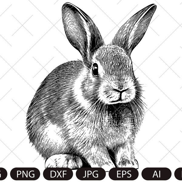 White Rabbit Art - Etsy