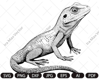 Lucertola carina svg, faccia di lucertola svg, faccia di iguana svg png, carino CAMALEONTE SVG, Rettili Animali