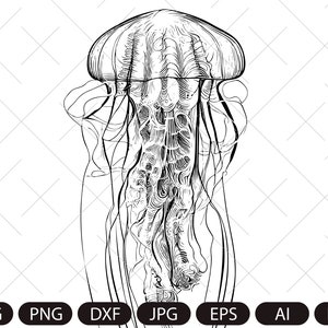 May include: A black and white line drawing of a jellyfish with long tentacles.