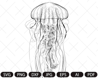 Jellyfish svg file,  Ocean, Sea animals, Beach, Summer, Beach, Svg files , Paper cut template
