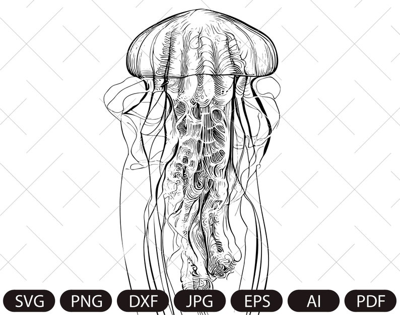 May include: A black and white line drawing of a jellyfish with long tentacles.