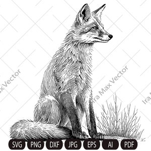 Fox SVG, Sitting Fox, Wild Fox, Fox Mascot SVG, Cute Fox, Fox Clipart, Fox Cut File, Fox Silhouette, Png, Dxf
